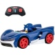 Carrera Radiografisch Bestuurbare Sonic Racing Sonic 1:43