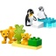 Lego 10442 Duplo Families Van Wilde Dieren: Pinguins En Leeuw