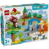 Lego 10446 Duplo 3-in-1 Families Van Wilde Dieren