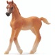 Schleich 13984 Arabisch Veulen