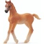 Schleich 13984 Arabisch Veulen