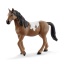 72138 Schleich Pinto Mare