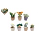 Take Me Home Plant Pluche 12-17 Cm