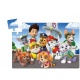 Vloerpuzzel Paw Patrol (35 Stukjes)